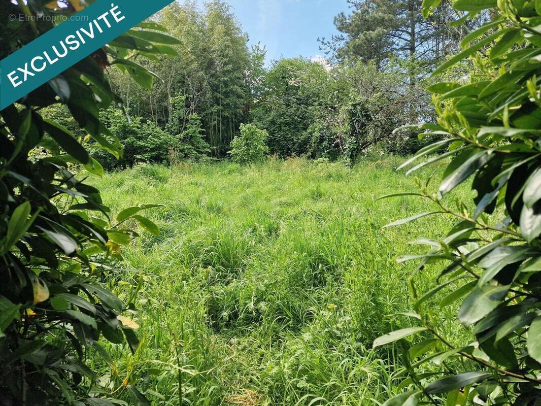 Photo 3 - Terrain à CURZON