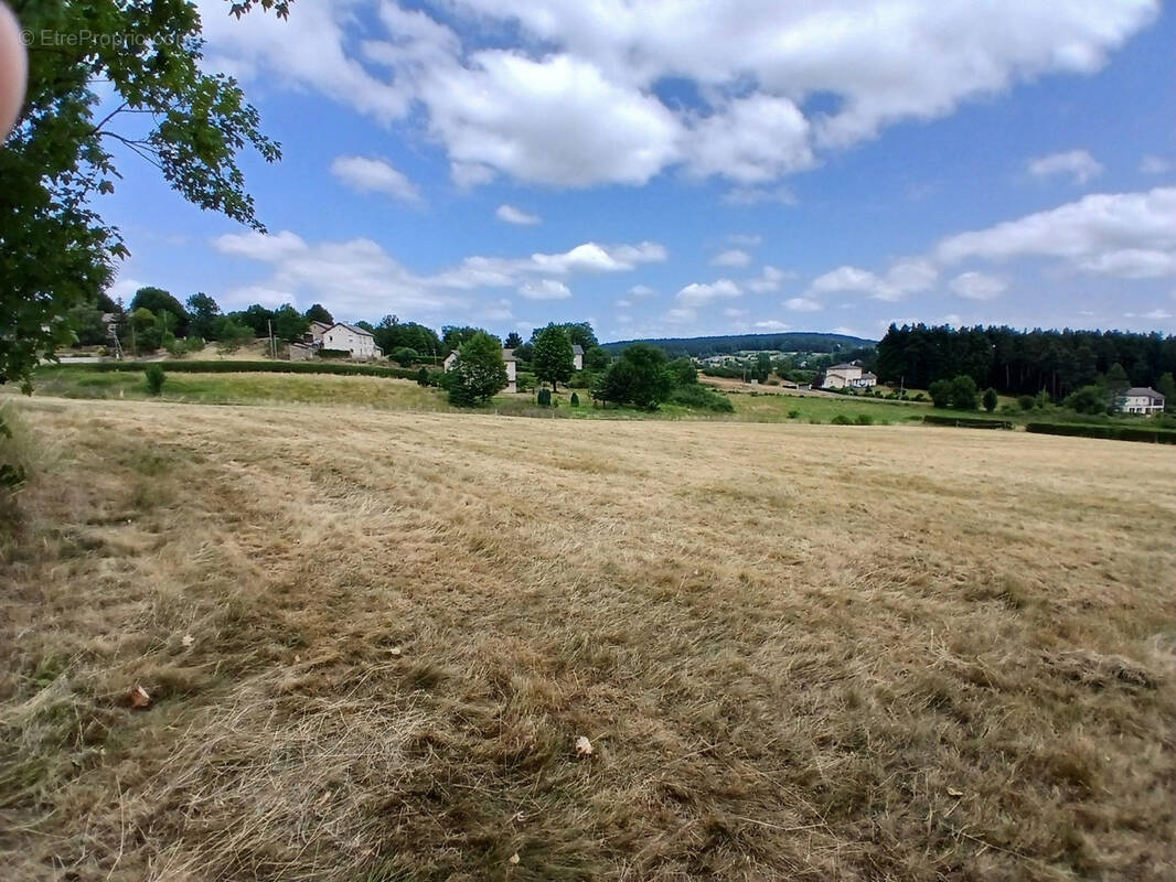 Terrain à TENCE