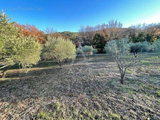 Terrain à CLERMONT-L'HERAULT