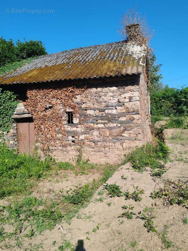 Photo 2 - Maison à SAINTE-MARIE