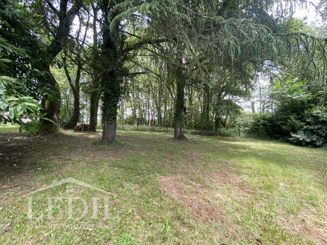 Propriété avec dépendances et parc - photo 4