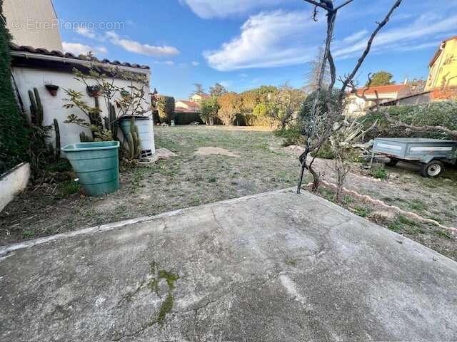 Terrain à SAINT-FELIU-D'AMONT