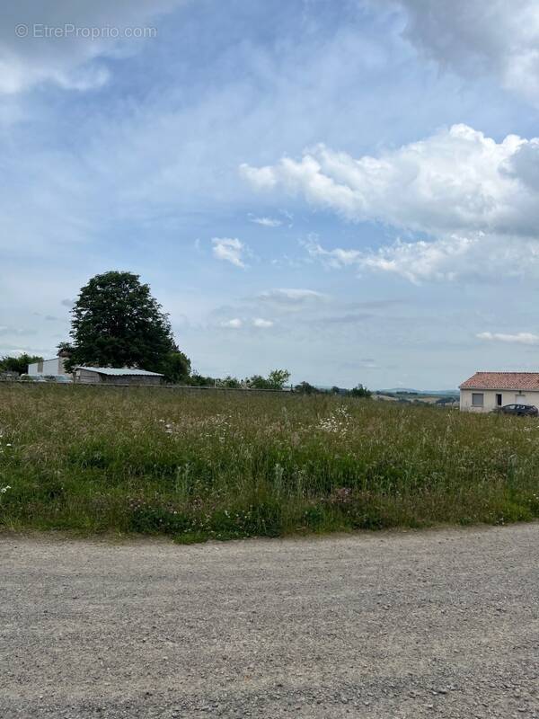 Terrain à SAINT-CIRGUE