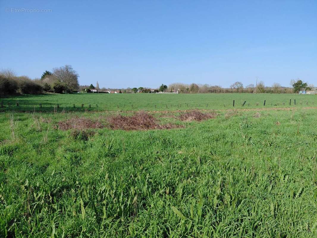 Terrain à PORT-D'ENVAUX