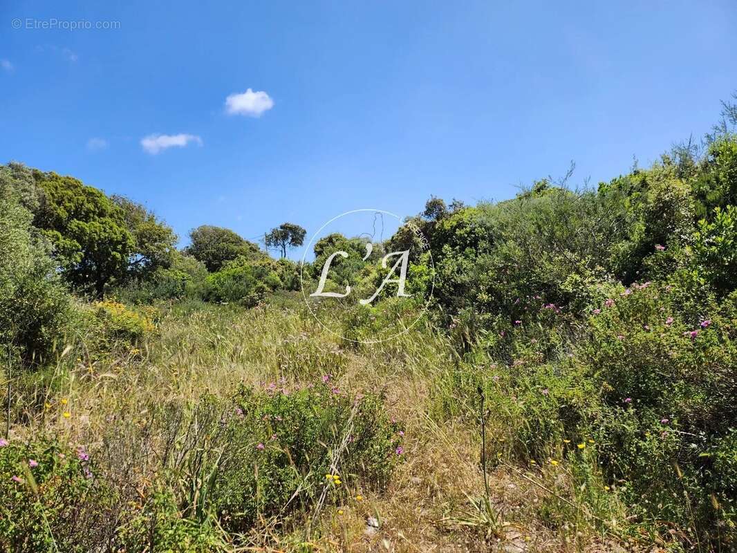 Terrain à BONIFACIO