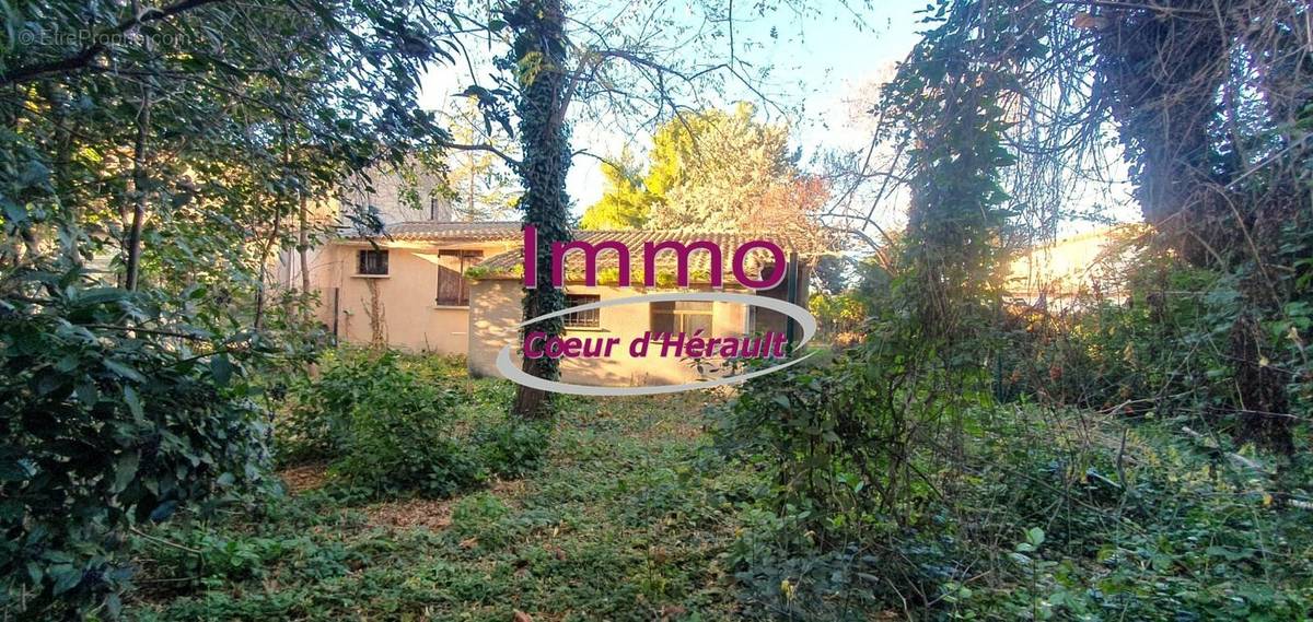 Maison à SAINT-ANDRE-DE-SANGONIS