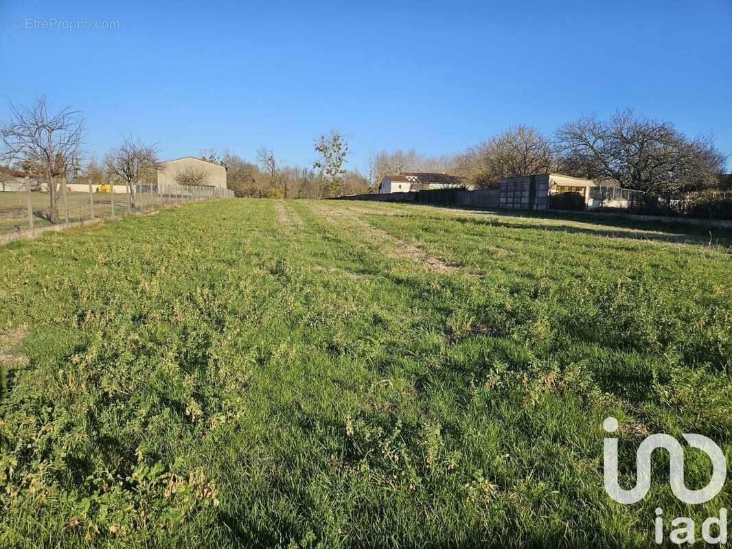 Photo 3 - Terrain à ARS