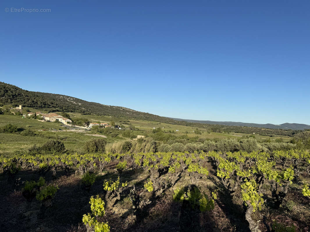 Terrain à MONTPEYROUX