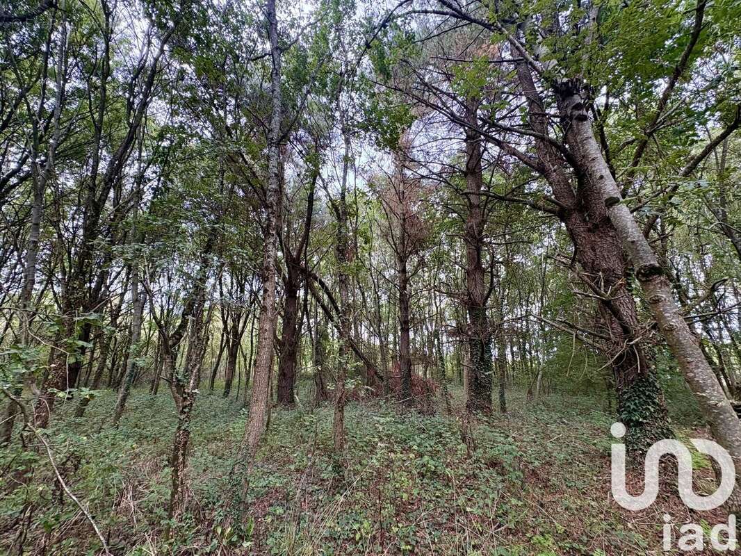 Photo 2 - Terrain à OUDON