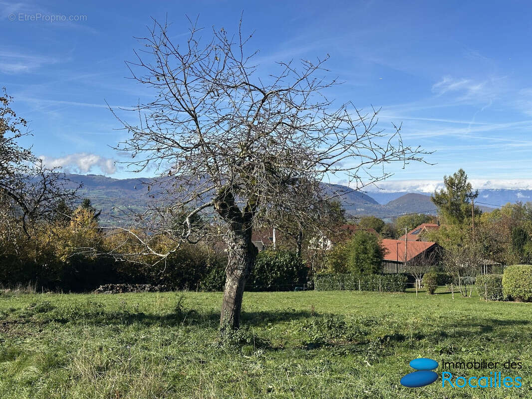 Terrain à FAUCIGNY