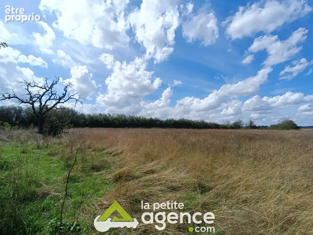 Longère sur terrain de plus d'1 hectare - photo 7