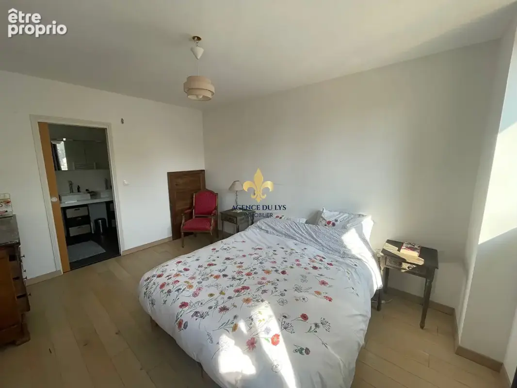 Maison  Precy Sur Oise 9 pièce(s) 246 m2 +  Dépendance 75 m² - photo 13