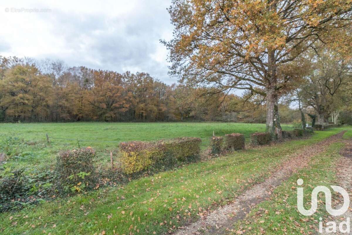 Photo 2 - Maison à LA BUSSIERE