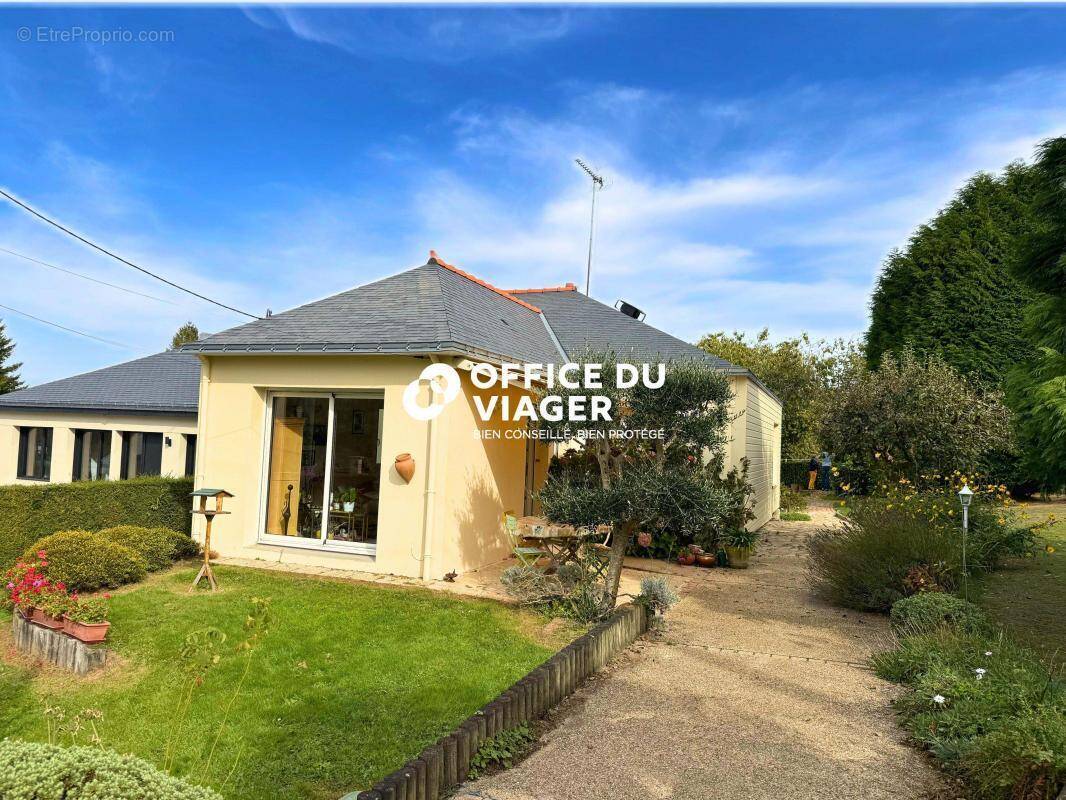 Maison à MALESTROIT