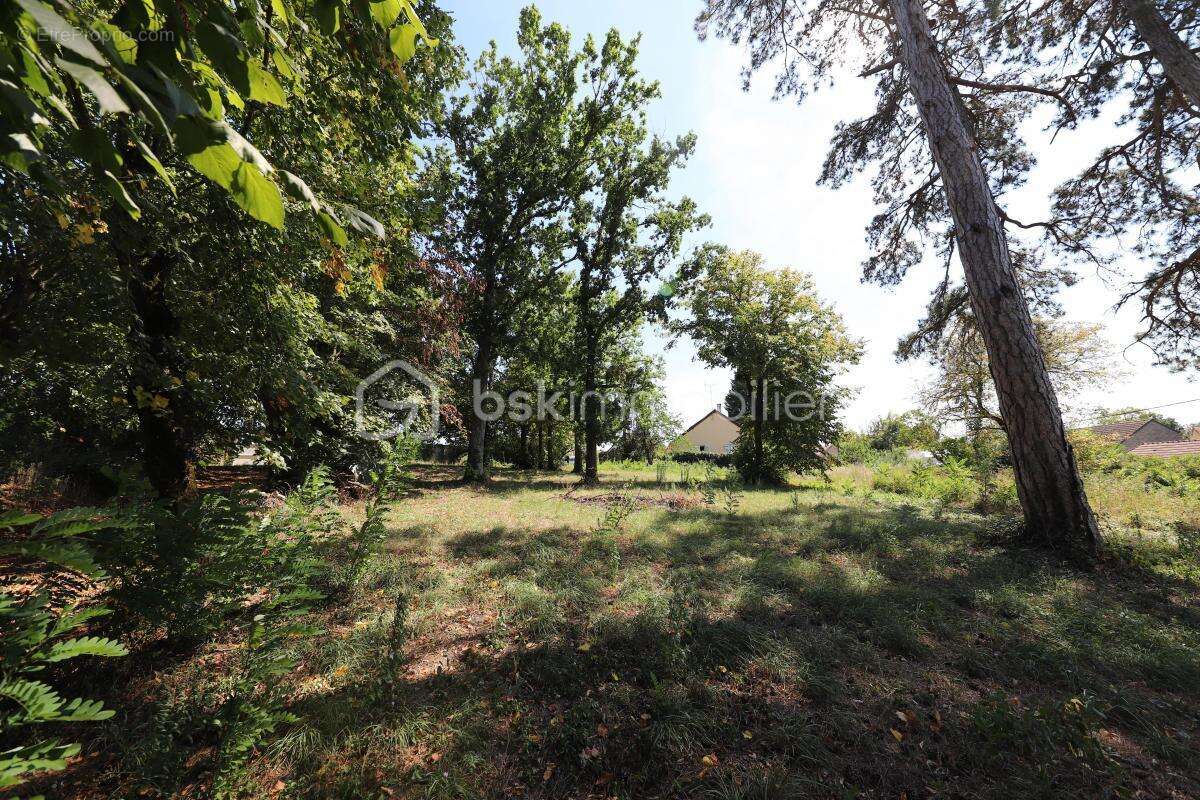Grande Maison avec jardin de 5049 m² - photo 20