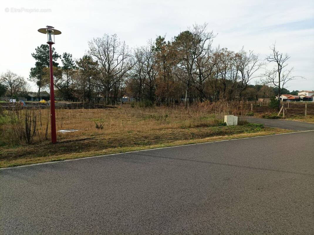 Terrain à PARENTIS-EN-BORN