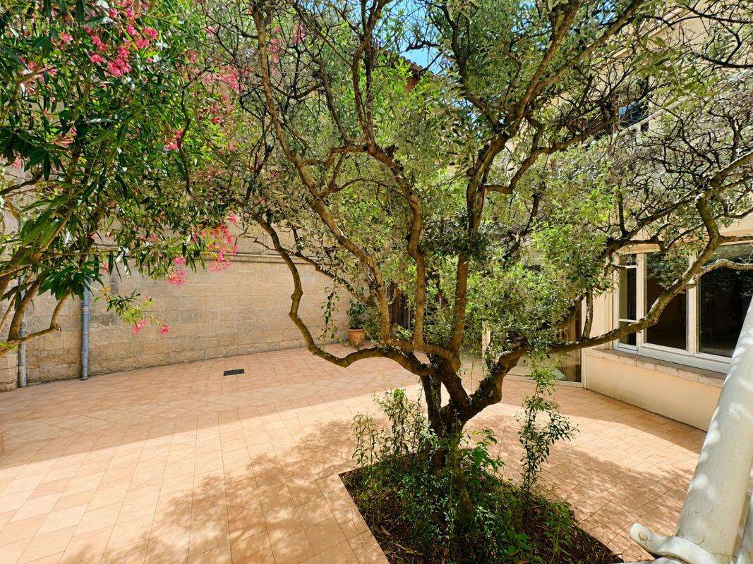 Maison 280 m² à Avignon  - photo 2
