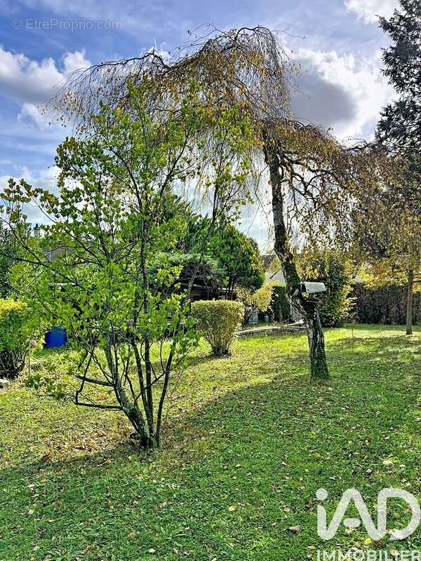 Photo 5 - Terrain à VILLEVAUDE