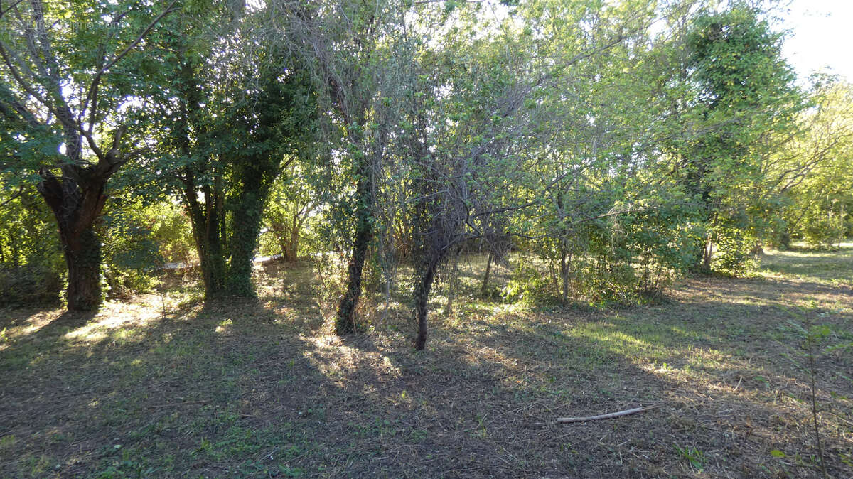 Maison à SOLLIES-PONT