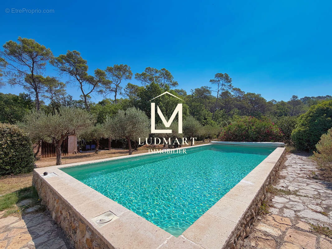 Lorgues   Domaine provençal de 11 hectares avec deux maisons indépendantes, deux piscines, vignoble AOP et oliveraie - photo 12