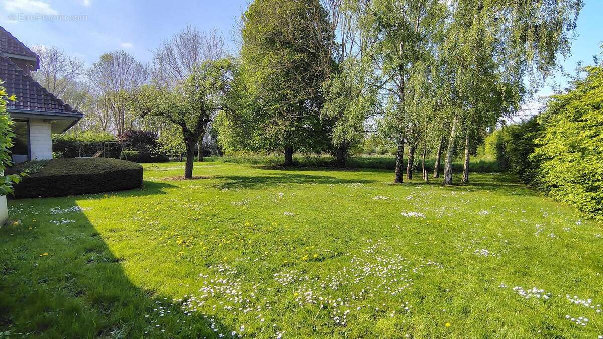 Photo 2 - Maison à SAINT-FLORIS