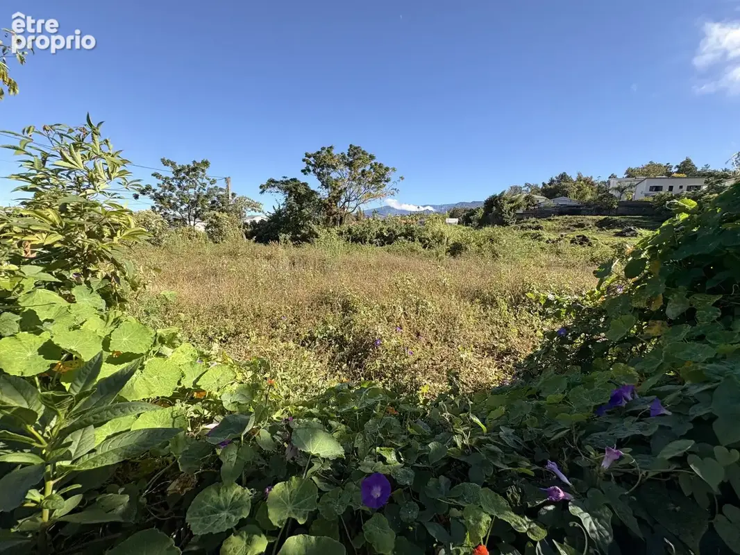 Terrain à LE TAMPON