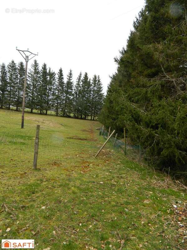 Photo 4 - Maison à LES ESTABLES