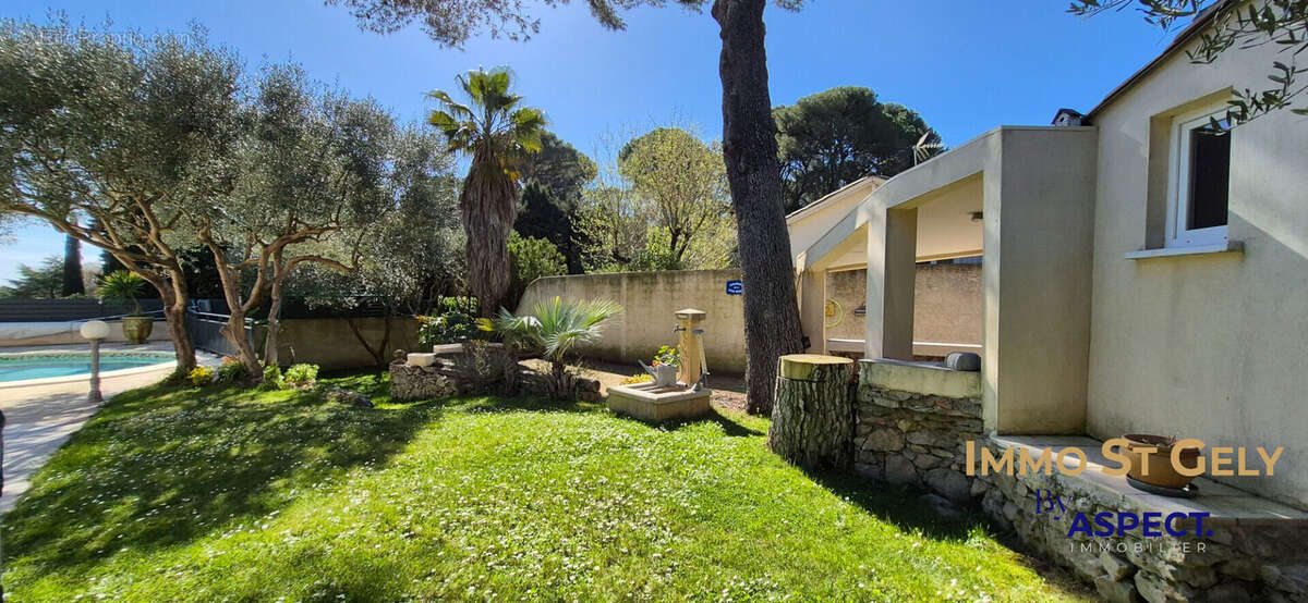 Maison à MONTPELLIER