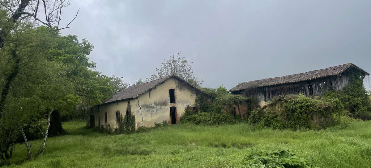 Maison à VILLENEUVE-DE-MARSAN