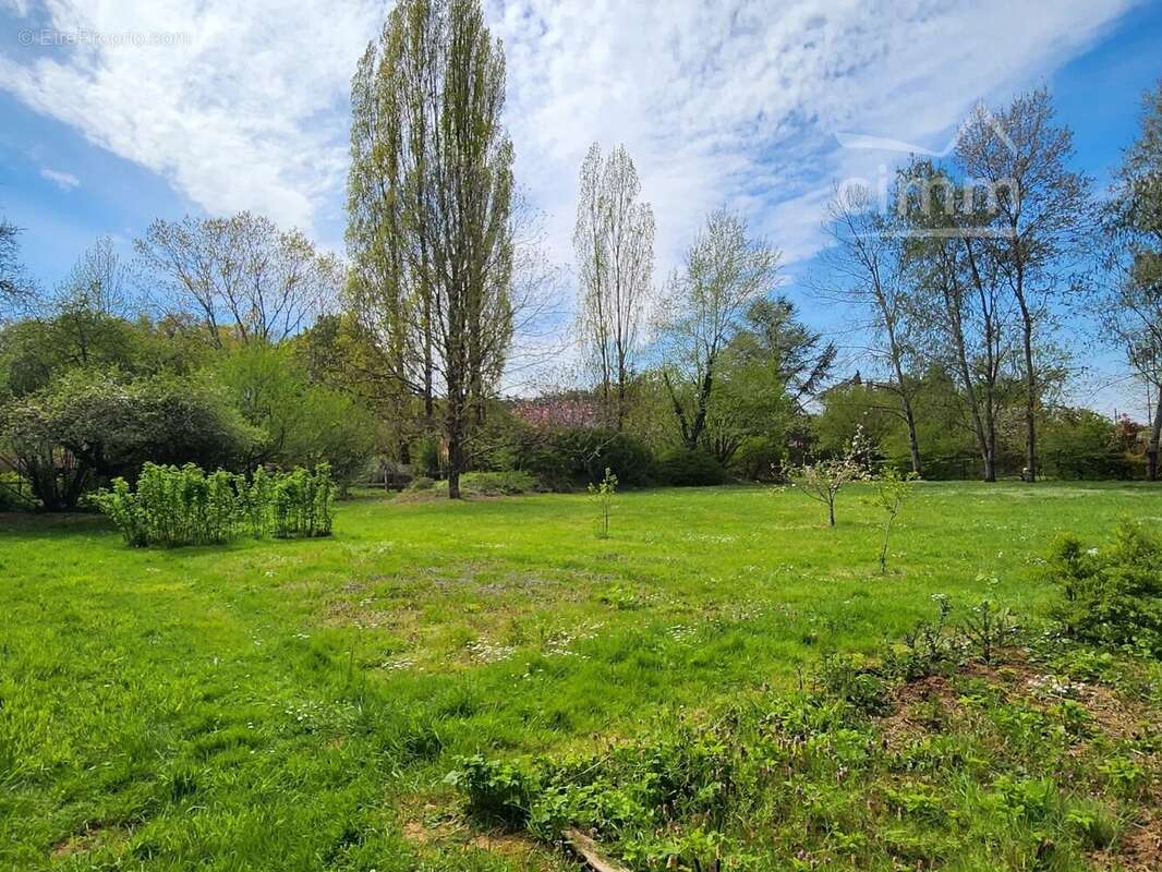 Terrain à SAINT-ELOY-DE-GY