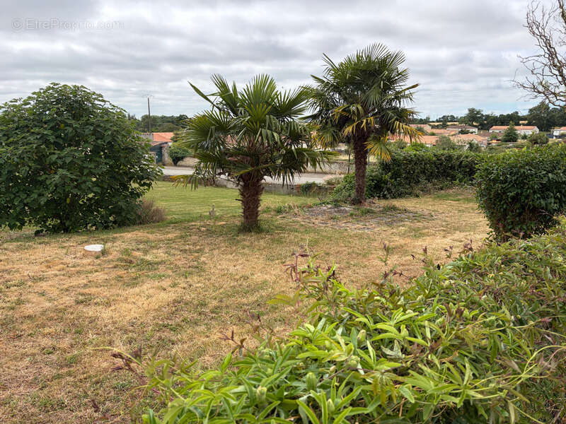 Bessay (85320) au calme charmante maison en pierres renovee 3/4 chambres avec dependances et jardin - photo 2