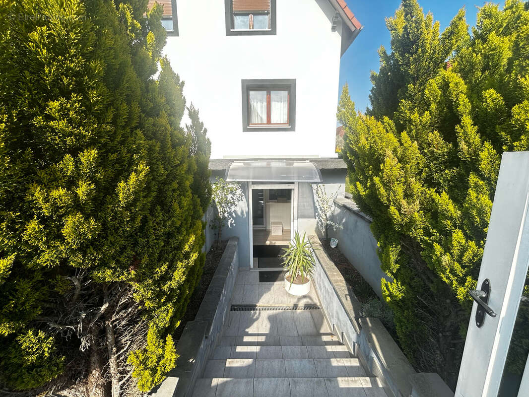 Maison à ENTZHEIM