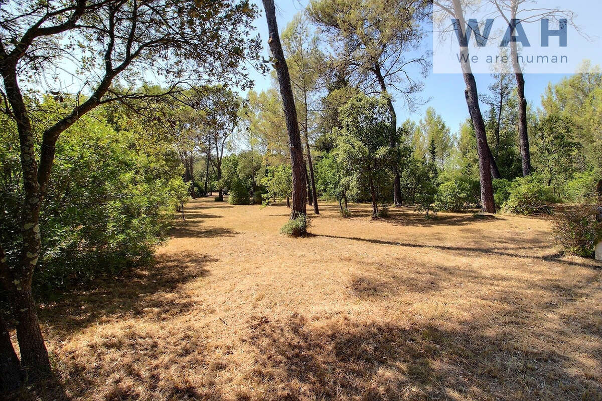 Terrain de loisirs - photo 3