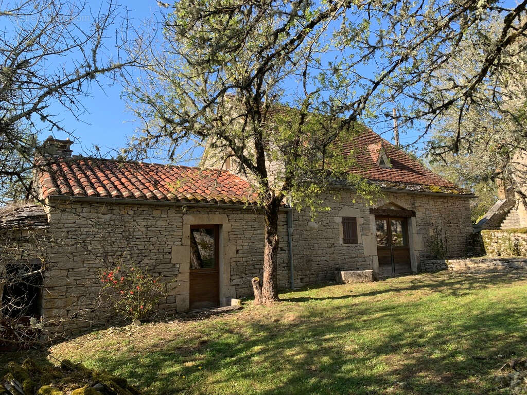 Propriété en pierre - 2 maisons indépendantes, piscine, dépendances, terrain de près d'1 Hectare - Catus - photo 13