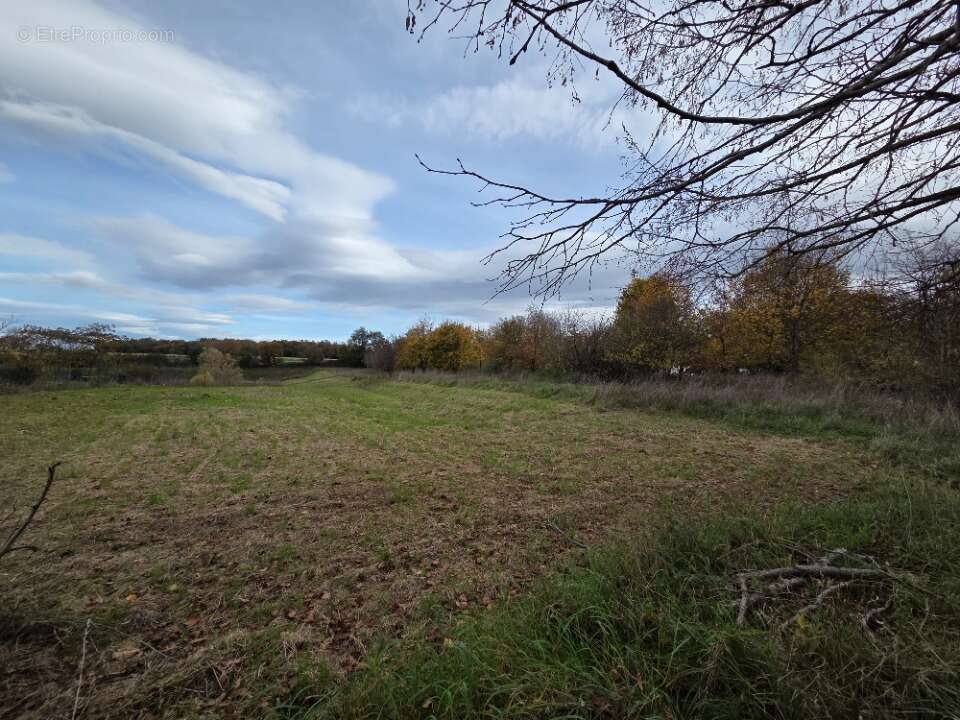 Terrain à BELIGNEUX