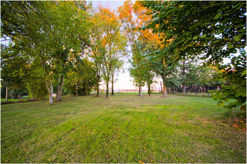 Maison à JAUNAY-CLAN