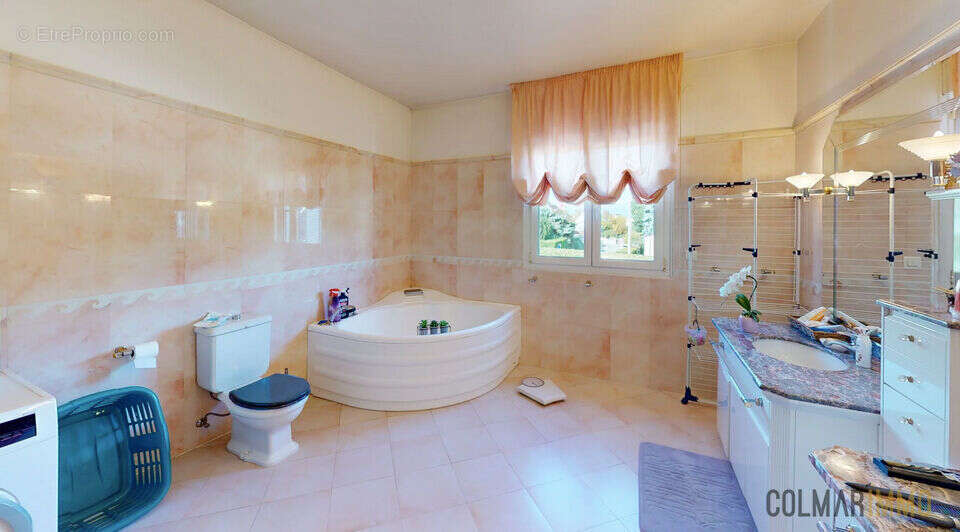 Commerce à HORBOURG-WIHR