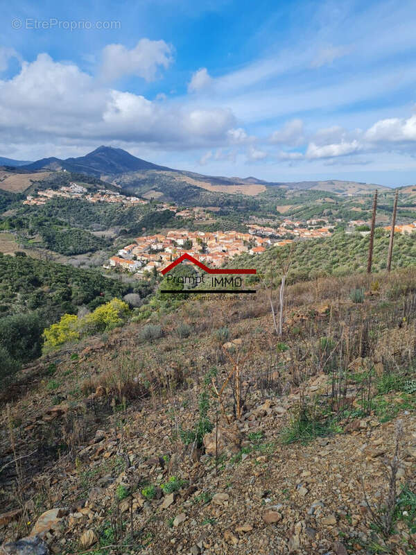 Terrain à BANYULS-SUR-MER