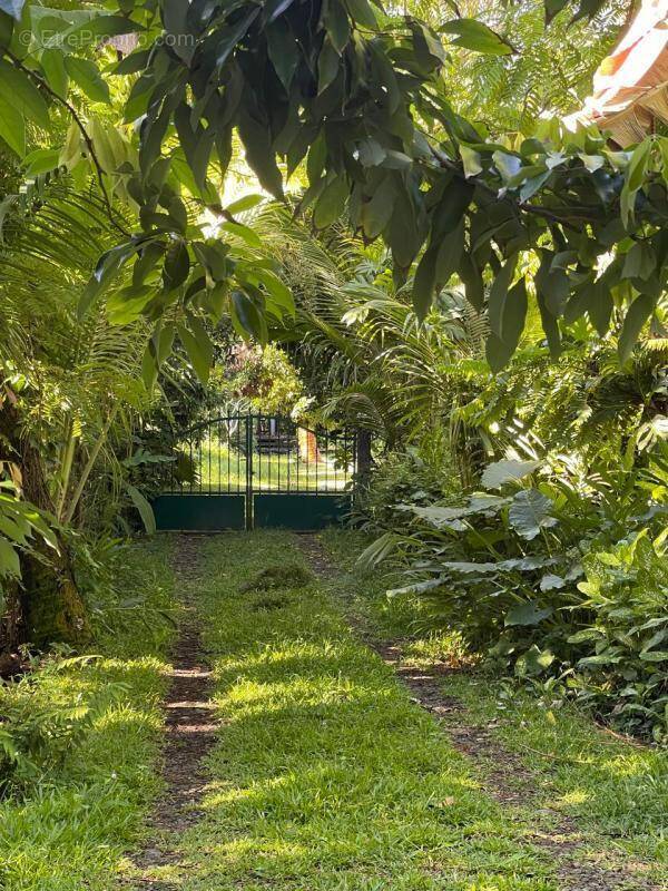 Maison à SAINTE-ROSE