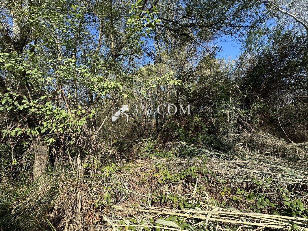 Terrain à SALINDRES