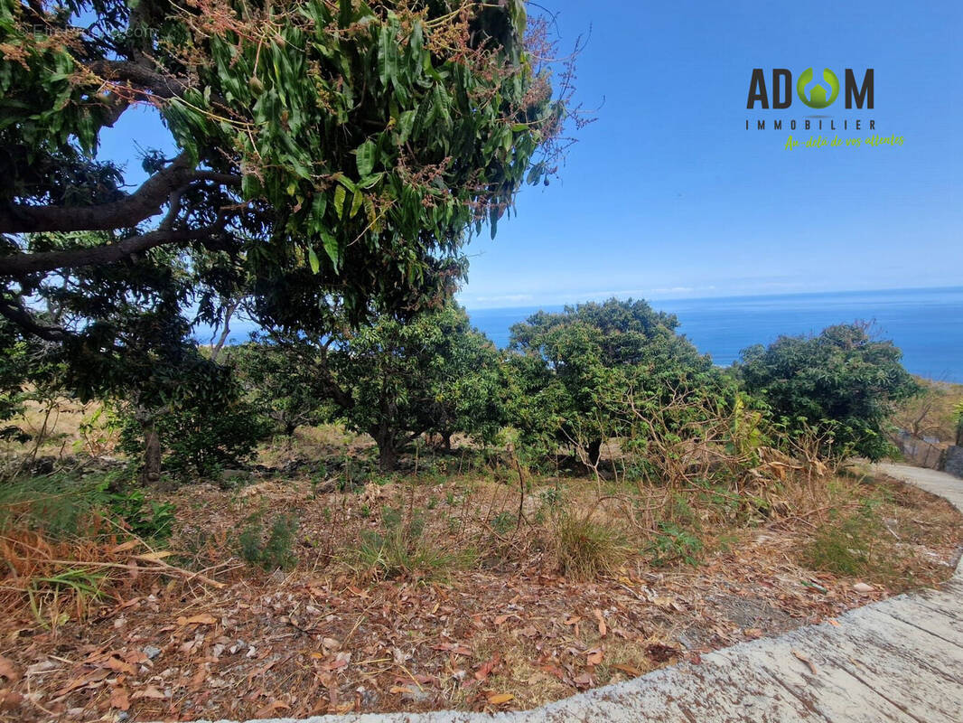 Terrain à SAINT-LEU