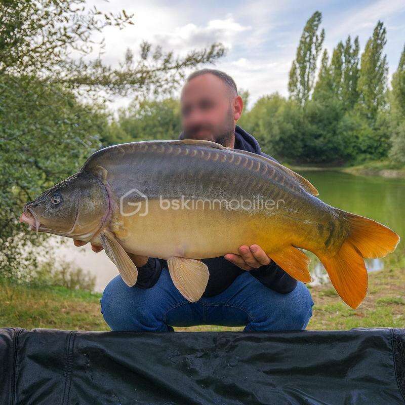 Terrain à SAVONNIERES