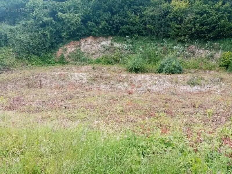 Photo Terrain à Bretteville-Du-Grand-Caux au prix de 89 000€