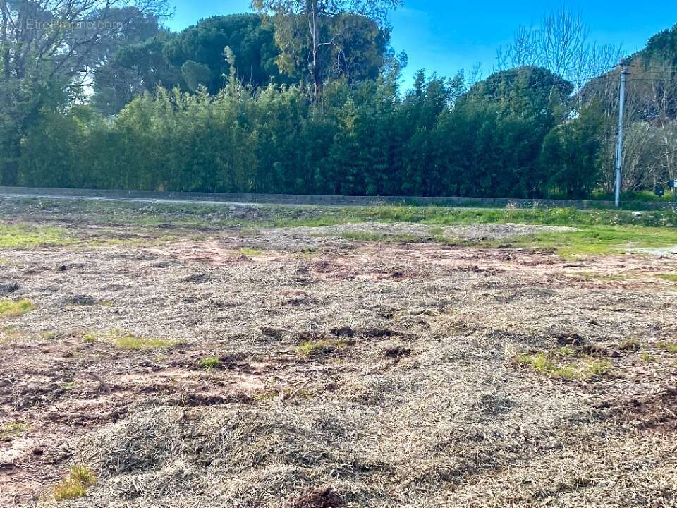 Terrain 691 m² à Puget-Sur-Argens  - photo 2