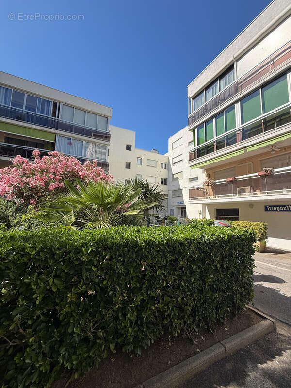 Charmant studio à deux pas du port et des plages - photo 10