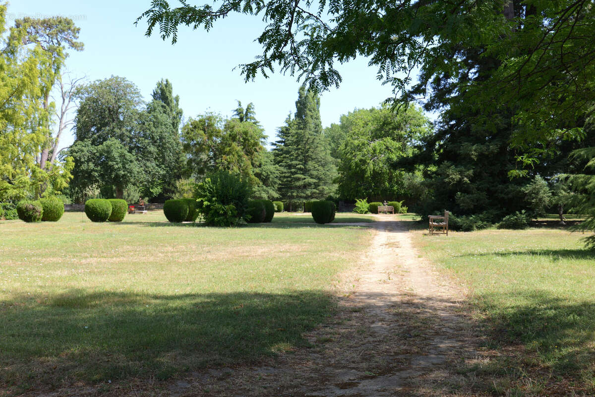 Maison à FONTEVRAUD-L'ABBAYE