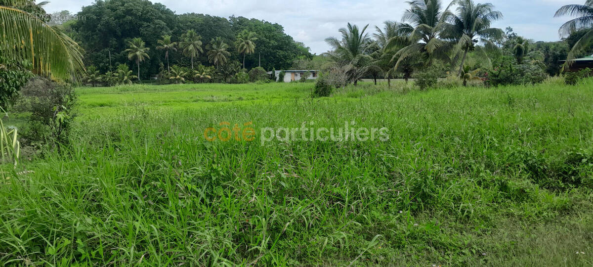Terrain à MORNE-A-L&#039;EAU