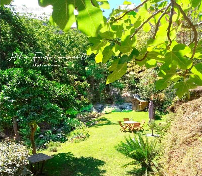 Appartement à OLETTA