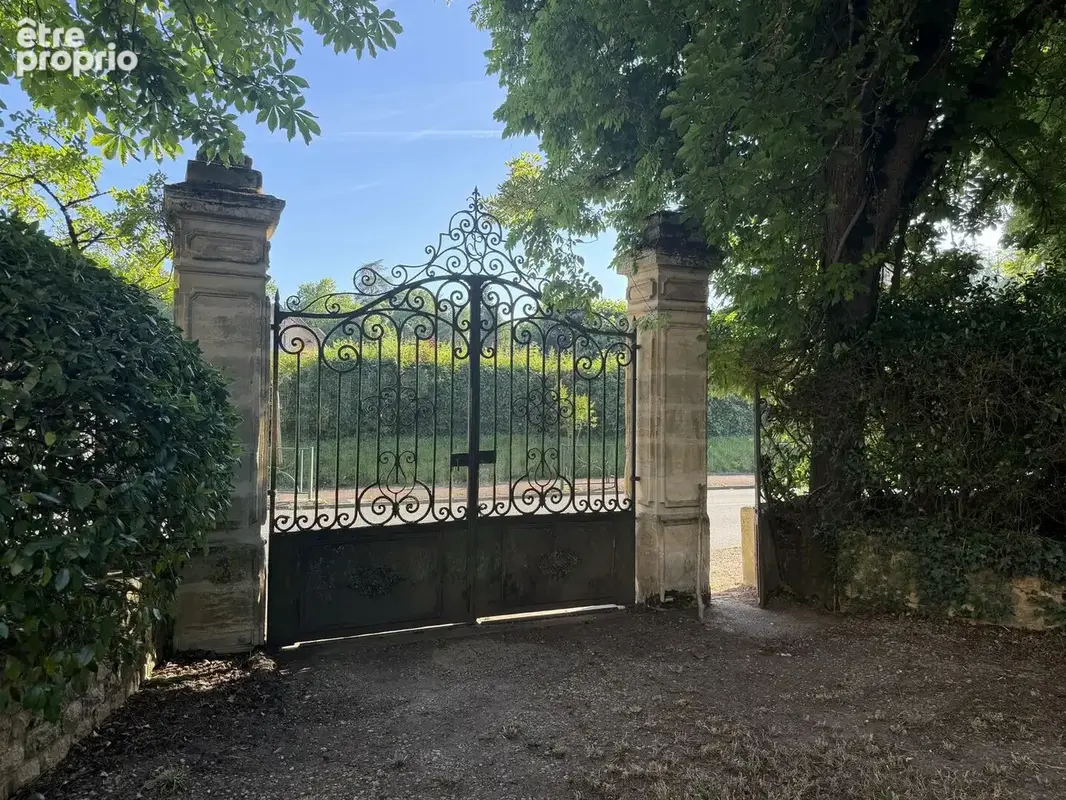 IMG0069
