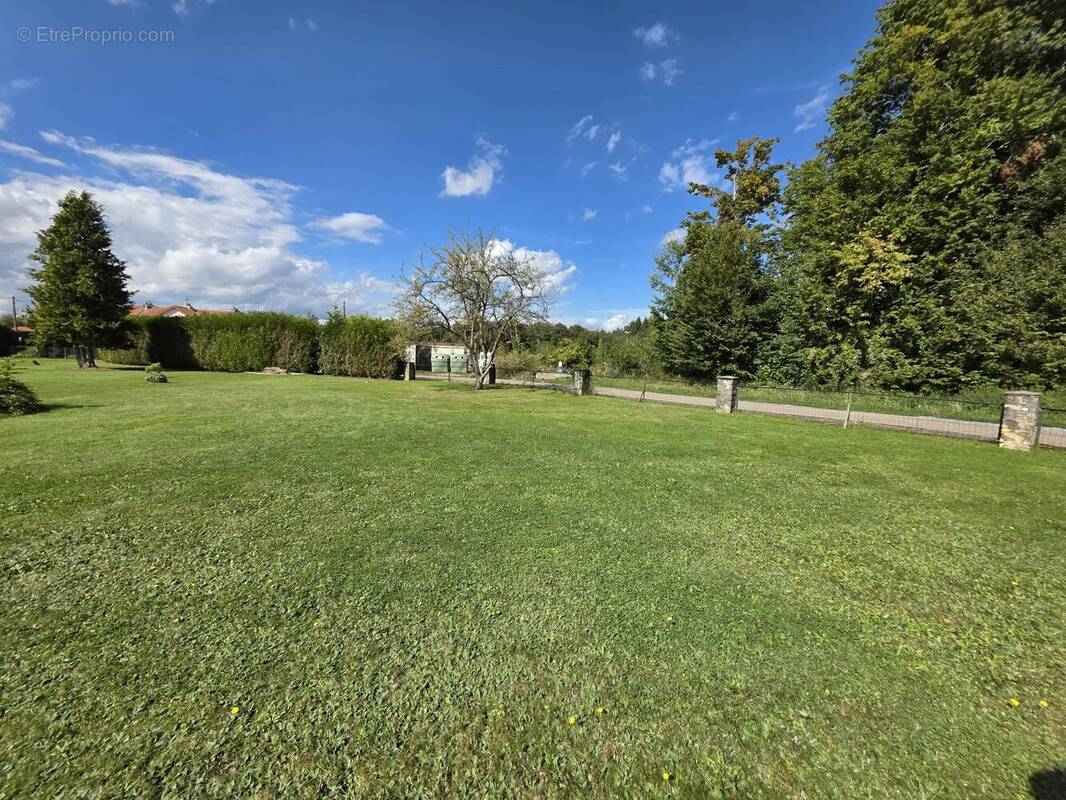 Terrain à MERCY-LE-BAS